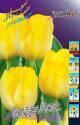Тюльпан Голден Чирс  10 шт