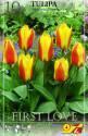 Тюльпан Ферст Лав ботанический 5 шт 11/12