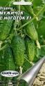 Огурец Мужичок с ноготок F1 (ПВ) Аэл
