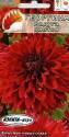 Георгина Радуга цветов красная Аэл