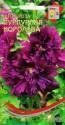 Шток-роза Пурпурная королева ССО