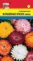 Гелихризум Волшебные краски смесь УУ