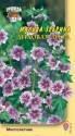 Мальва Лиловая зебра зебрина УУ