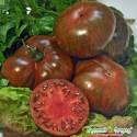 Томат Шоколадный полосатый НК