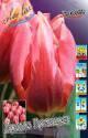 Тюльпан Претти Принцесс 10 шт