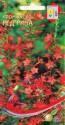 Ипомопсис Ред Рива ССО