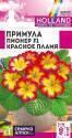 Примула Пионер Красное пламя СА
