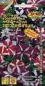 Петуния Звёздный бал, компактная низкорослая Аэл