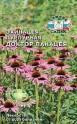 Эхинацея Доктор Панацея пурпурная Сед