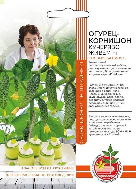 Огурец Кучеряво живем корнишон F1 Б/Ф УД