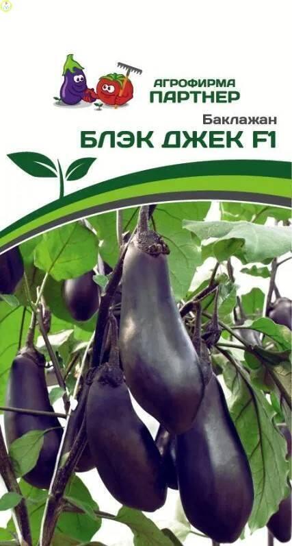 Баклажан БЛЭК ДЖЕК F1 Пар