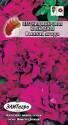 Петуния Городские гиганты Винная ягода Аэл