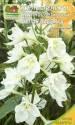 Дельфиниум Белая бабочка Наш
