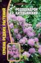 Рододендрон Катевбинский Реш
