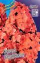 Флокс Оранж Перфекшион 2 шт