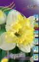 Нарцисс Фрилёз 10 шт