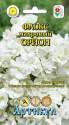 Флокс Орион махровый Арт