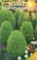 Кохия Летний кипарис Наш