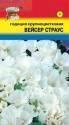 Годеция Вейсер Страус УУ