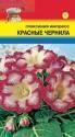 Глоксиния Импресс красные чернила F1 УУ