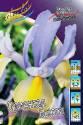 Ирис Ориентал Бьюти 10 шт