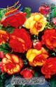 Бегония Микс №3 2 шт