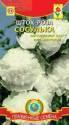 Шток-роза Сосулька Плз