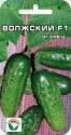 Огурец Волжский F1 СС