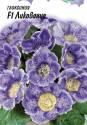 Глоксиния Ликование гранул. серия Лавандовые грезы F1 Гав