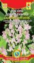 Фасоль декоративная Скалолаз Пинк Плз