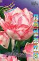 Тюльпан Картуш 11/12 100 шт 