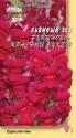 Львиный зев Рубиново-красный букет УУ