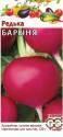 Редька Барыня Гав