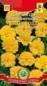 Бархатцы Петит голд отклоненные Плз
