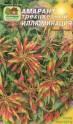 Амарант Иллюминация Наш