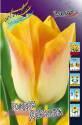 Тюльпан Голден Дайнести 10 шт