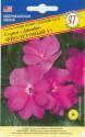 Бальзамин Дивайн фиолетовый ново-гвинейский F1 Престиж