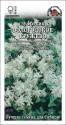 Эуфорбия Вологодское кружево ЗС