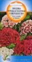 Гвоздика турецкая Совершенство ССО