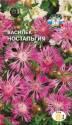 Василек Ностальгия шерховатый Сед