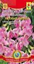 Горошек душистый Розовый жемчуг многолетний Плз