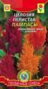 Целозия Пампасы перистая Плз