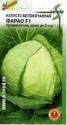 Капуста белокочанная Фарао F1 ССО
