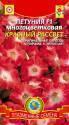 Петуния Красный рассвет многоцветковая F1 Плз
