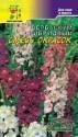 Вербаскум Смесь окрасок ЦС