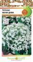 Лобелия Белая дама НК