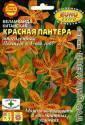 Беламканда Красная пантера китайская Аэл