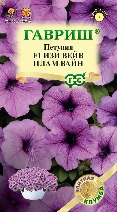 Петуния Изи Вейв плам вайн суперкаскад. F1 Гав