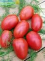 Томат Буян ССО