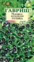Немофила дисковидная Готика Гав